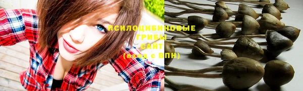 MESCALINE Карталы